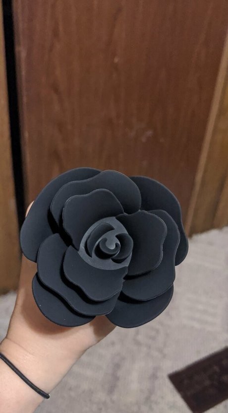 rlg1369 meilleur modèle images