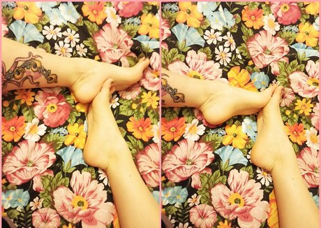 ventilateurs corporels uniquement parfait meilleur image