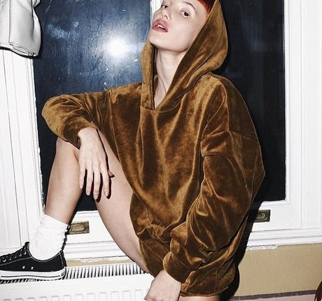 Lotussutra étoile gratuite images