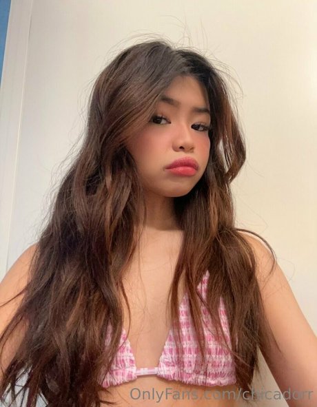 chicadorr xxx star du porno archive