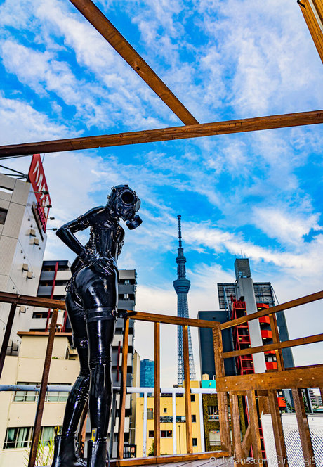 fans noirs uniquement la plus belle archive