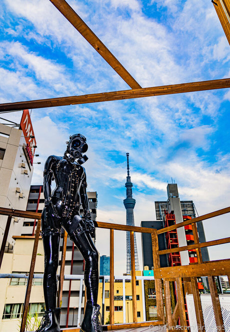 fans de star teen uniquement porno sympa photo