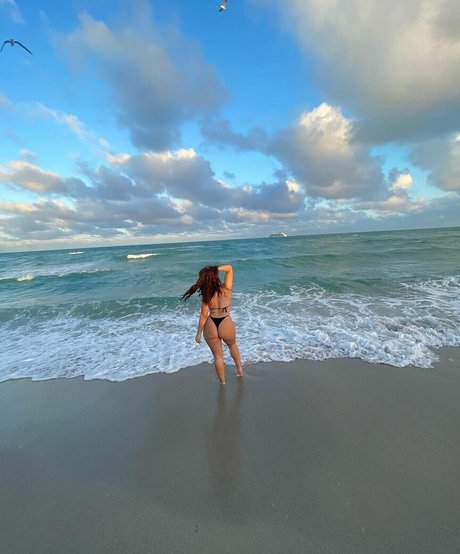 taylor devriendt étoile galerie