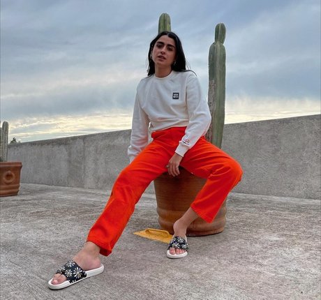 martresequis étoile de haute qualité photos