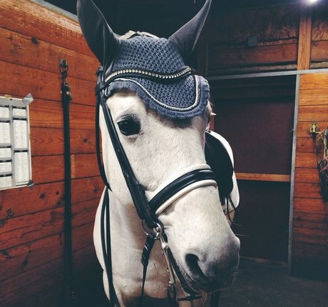 top 2024 des fans uniquement belle hd galeries