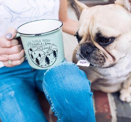 Michelle Laframboise Fotoaufnahmen