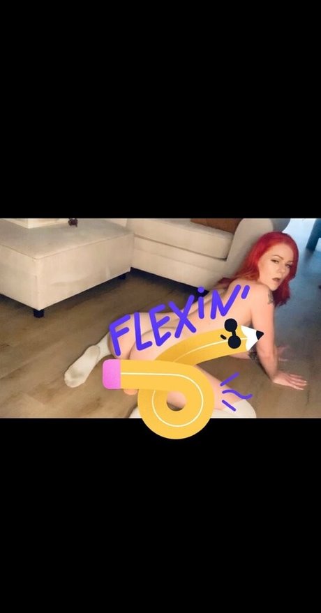 lanilonglegs étoile gratuite images