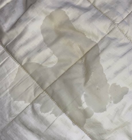 ivy4311 actrice adulte des photos