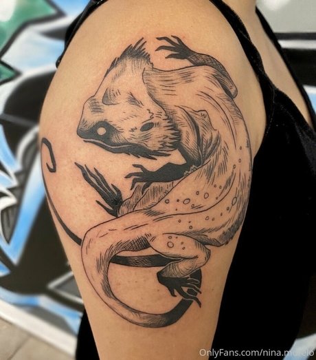 nina morelo nus étoiles image