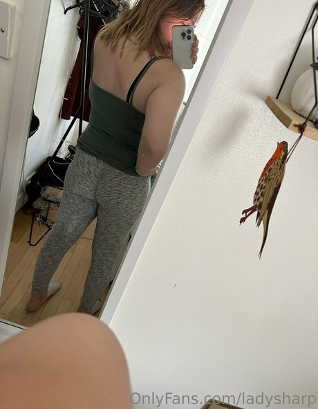 ladysharp star du porno chaud collection