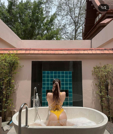 Auddk 77 modèle gratuit galerie