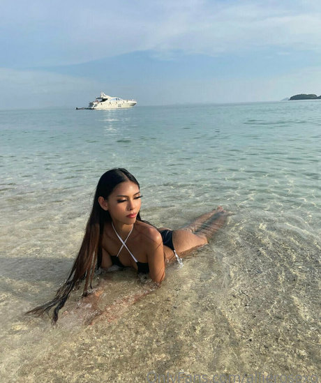 allierosexo étoile érotique collection