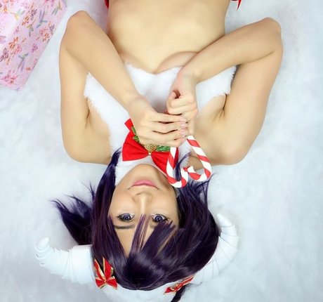 Franxcos meilleur modèle img