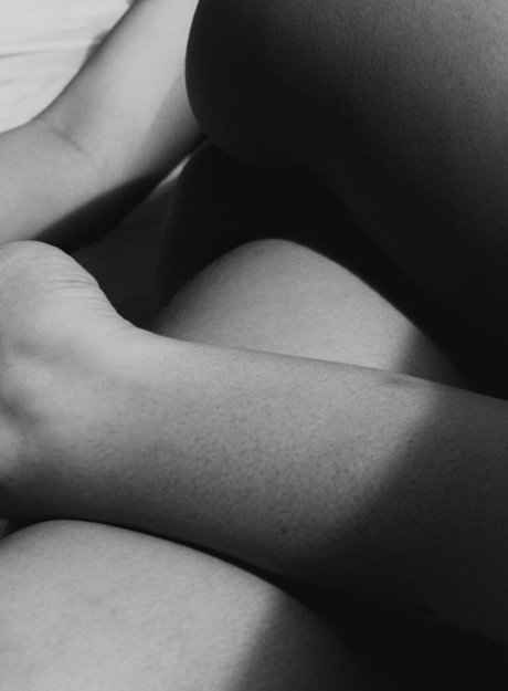 Amelia Zadro modèle artistique galerie