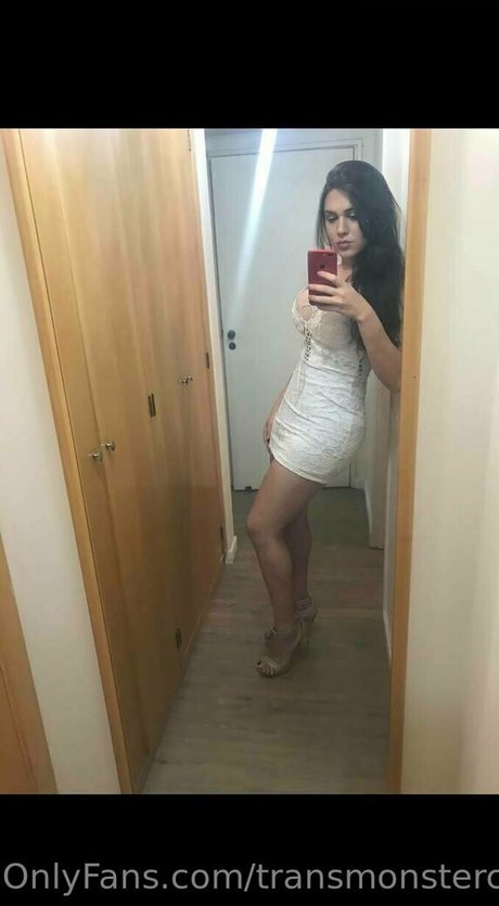 transmonstercock haut de star du porno collection