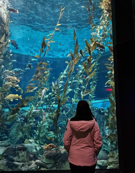 Wolfabelle star pornographique archive