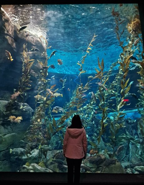 Wolfabelle modèle artistique collection