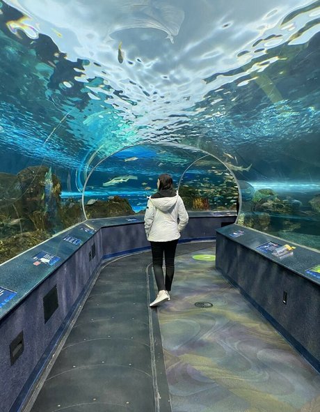 Wolfabelle art de star du porno images