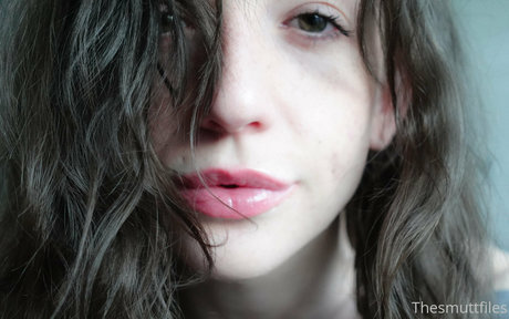 snoot top star archive