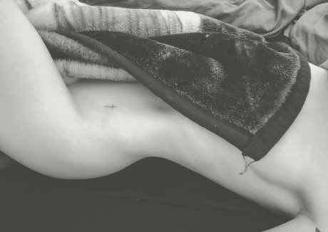 snoot étoile de l'art archive