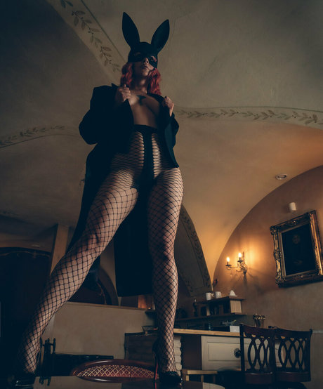 dtp lt haut étoile photos