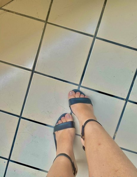 babygirlberry haut de star du porno collection