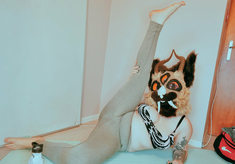 meanwoofree étoile gratuite photos