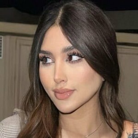 Shiraziya baby étoile de l'art des photos