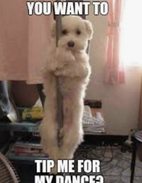 trio à gros seins onlyfans assez haute qualité galerie