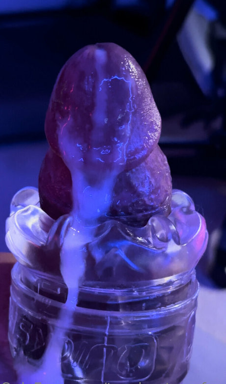 tacoboutrurufree art modèle collection