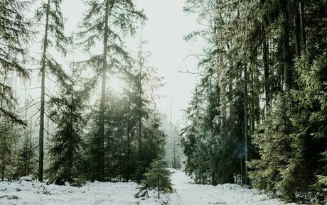 rumrtv actrice de grande qualité img