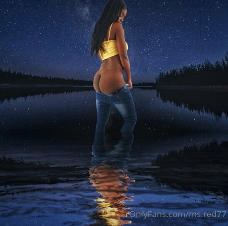 ms red77 meilleur modèle galeries