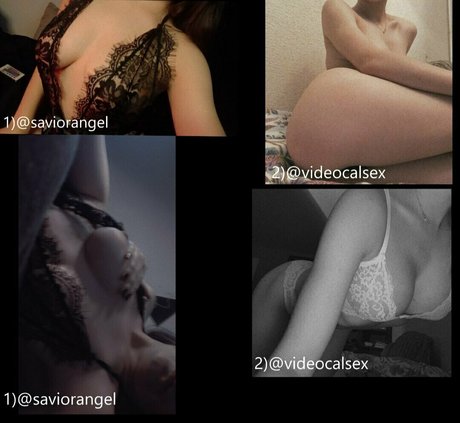 delfisebastiani1 modèle magnifique collection