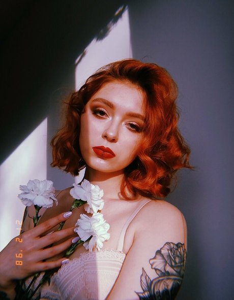 roskosh modèle gratuit galerie