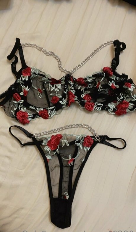 anna46290 haut étoile photo