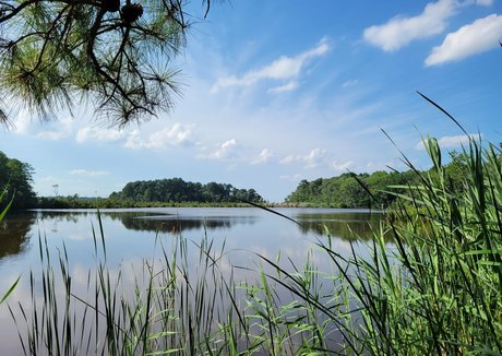 anciens fans uniquement art sympa galerie