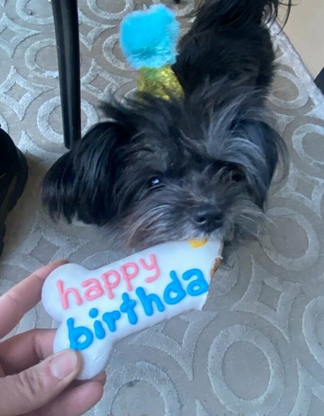 deltadawnlux meilleur modèle photo