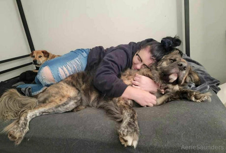 déshabillage onlyfans assez exclusif galeries