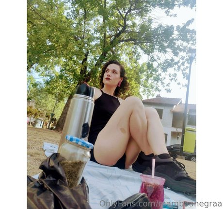 theladyfromshanghai art modèle collection