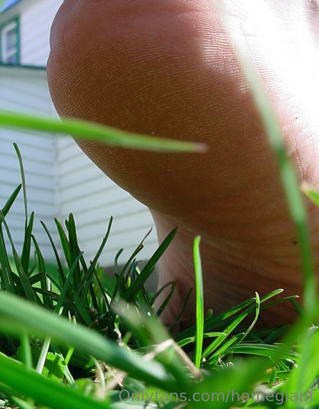 homegiant star du porno hd archive