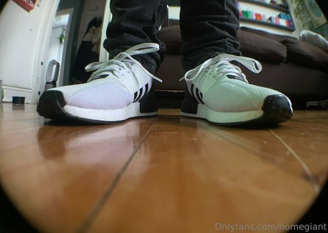 homegiant modèle sympa galerie