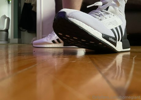 homegiant étoile parfaite photos