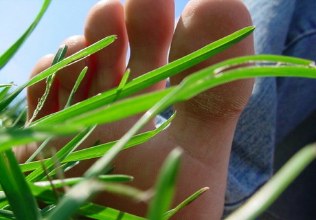 homegiant star du porno exclusive img