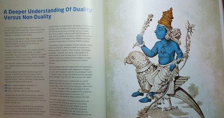 annalicia arts art de star du porno archive