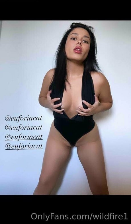 wildfire1 Profilfoto