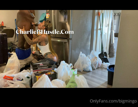 bigmingo star exclusive image