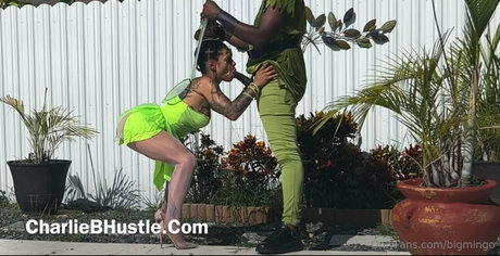 bigmingo star du porno adulte image