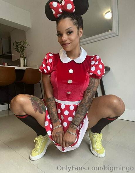 bigmingo star pornographique galerie