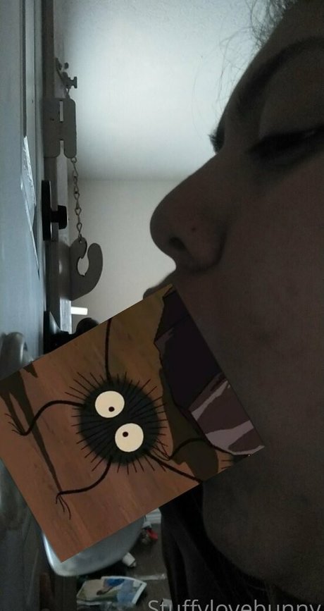 StuffyLoveBunny belle star du porno collection