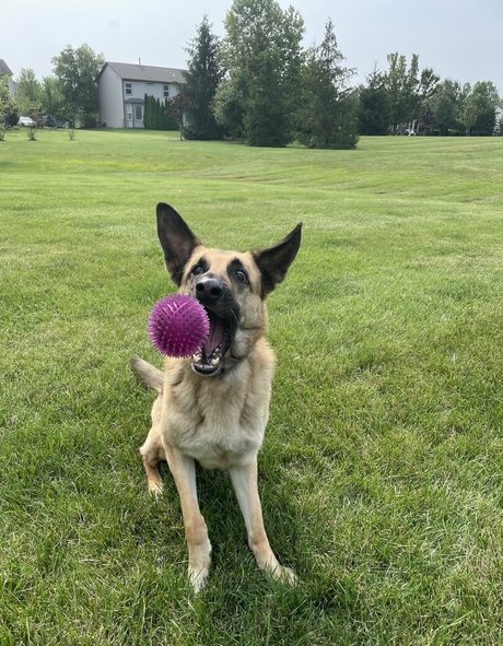 énorme gode onlyfans chaud xxx galeries